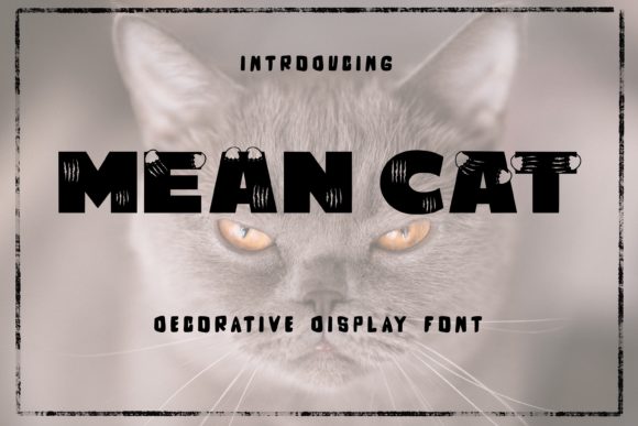 Mean Cat Font: A Bold Choice for Creative Projects